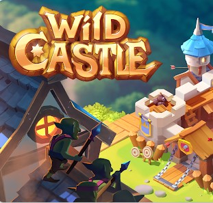 Wild Castle cover image